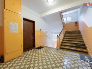 Prodej bytu 2+1, Ostrov, S. K. Neumanna, 66 m2