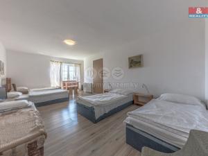 Prodej ubytování, Třebívlice - Dřemčice, 950 m2