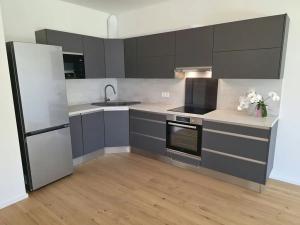 Pronájem bytu 2+kk, Brandýs nad Labem-Stará Boleslav, Dřevčická, 60 m2