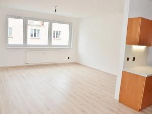 Pronájem bytu 2+kk, Praha - Nusle, Družstevní, 67 m2