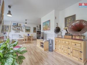 Prodej bytu 2+kk, Plzeň - Jižní Předměstí, Mánesova, 58 m2