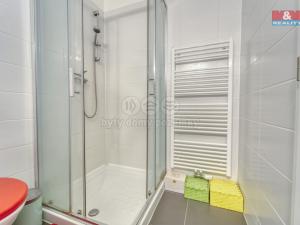 Prodej bytu 2+kk, Plzeň - Jižní Předměstí, Mánesova, 58 m2