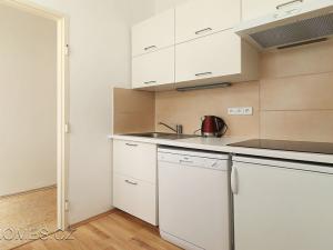 Pronájem bytu 1+1, Praha - Nové Město, Opletalova, 32 m2
