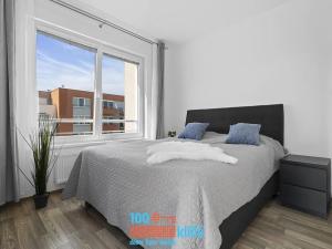 Prodej bytu 1+kk, Praha - Letňany, Hlučkova, 36 m2