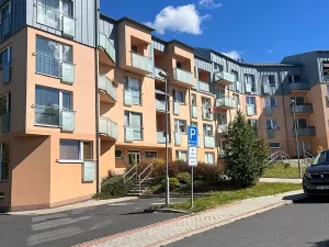 Prodej bytu 2+kk, Karlovy Vary, Spálená, 50 m2