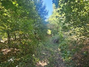 Prodej pozemku pro bydlení, Ústí nad Labem, Litoměřická, 5379 m2