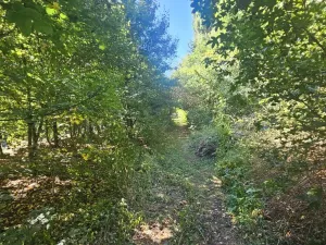 Prodej pozemku pro bydlení, Ústí nad Labem, Litoměřická, 5379 m2