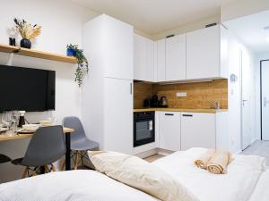 Prodej bytu 1+kk, Praha, Mozartova, 26 m2
