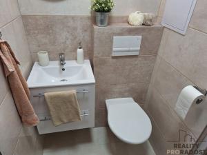 Pronájem bytu 1+kk, Děčín, Duchcovská, 20 m2