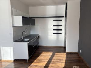 Pronájem bytu 1+kk, Ostrava, 30. dubna, 35 m2