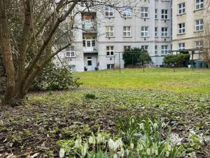 Pronájem bytu 1+kk, Praha - Braník, Branická, 30 m2