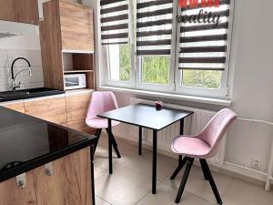 Pronájem bytu 1+1, Sokolov, Švabinského, 40 m2