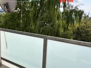 Pronájem bytu 1+1, Sokolov, Švabinského, 40 m2