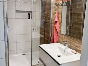 Pronájem bytu 1+1, Sokolov, Švabinského, 40 m2