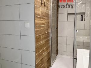 Pronájem bytu 1+1, Sokolov, Švabinského, 40 m2