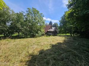 Pronájem chalupy, Nová Ves, 200 m2