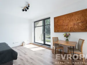 Prodej bytu 1+kk, Černý Důl, 33 m2