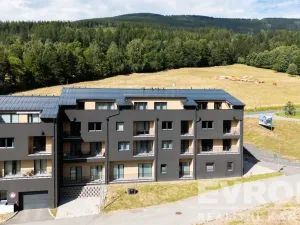 Prodej bytu 1+kk, Černý Důl, 33 m2