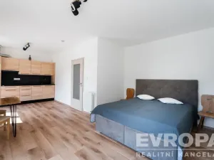 Prodej bytu 1+kk, Černý Důl, 33 m2