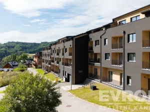 Prodej bytu 1+kk, Černý Důl, 33 m2