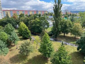 Prodej bytu 1+kk, Praha - Záběhlice, Topolová, 31 m2