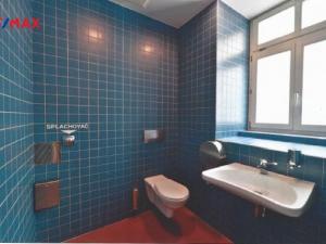 Pronájem obchodního prostoru, Praha - Staré Město, Staroměstské náměstí, 350 m2