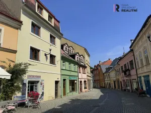 Prodej rodinného domu, Loket, T. G. Masaryka, 369 m2