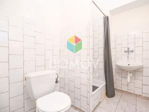 Pronájem bytu 1+kk, Králův Dvůr, Plzeňská, 24 m2