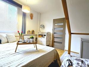 Pronájem bytu 3+1, České Budějovice, Dlouhá, 78 m2