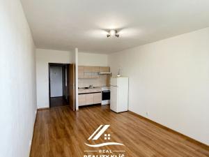 Pronájem bytu 1+kk, Ostrava, Hornopolní, 28 m2