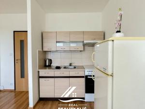 Pronájem bytu 1+kk, Ostrava, Hornopolní, 28 m2
