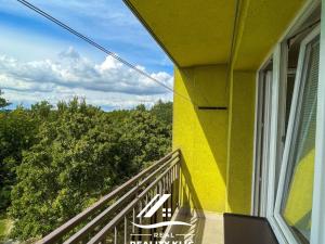 Pronájem bytu 1+kk, Ostrava, Hornopolní, 28 m2