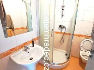 Pronájem bytu 1+kk, Hradec Králové, Na Pastvinách, 35 m2