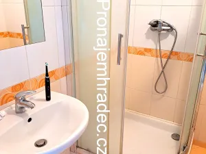 Pronájem bytu 1+kk, Hradec Králové, Na Pastvinách, 35 m2