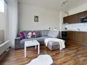 Pronájem bytu 1+kk, Brno, Fantova, 30 m2