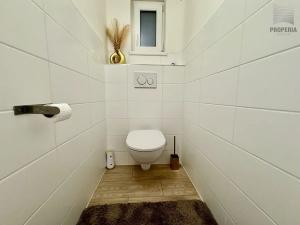 Pronájem bytu 1+kk, Brno, Jugoslávská, 36 m2