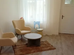 Pronájem komerční nemovitosti, Plzeň, Perlová, 45 m2