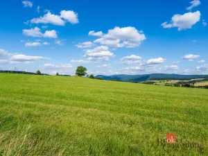 Prodej pole, Chrastava - Horní Chrastava, Frýdlantská, 11539 m2