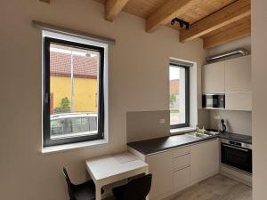 Pronájem bytu 1+kk, Brno - Líšeň, Trnkova, 32 m2