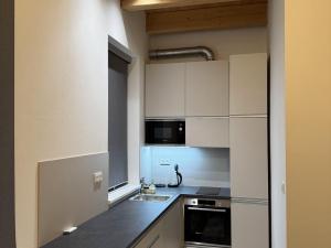 Pronájem bytu 1+kk, Brno - Líšeň, Trnkova, 32 m2