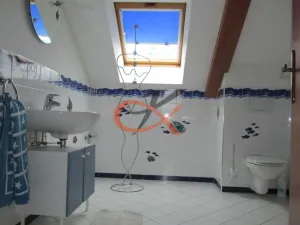 Pronájem rodinného domu, Krhová, Na Nivách, 300 m2