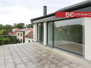 Pronájem rodinného domu, Brno, Pod Borovníkem, 330 m2