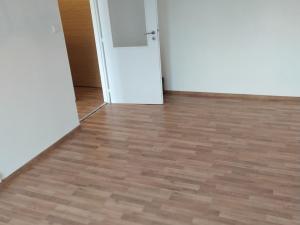 Pronájem bytu 1+1, Ostrava - Hrabůvka, Krestova, 40 m2