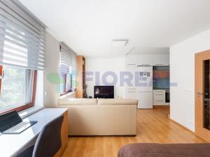 Pronájem bytu 1+kk, Praha - Michle, U michelského mlýna, 33 m2