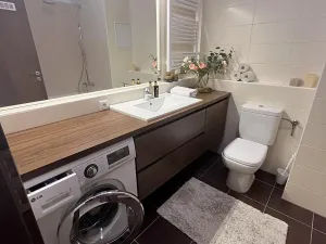Pronájem bytu 2+kk, Liberec, U Sila, 56 m2