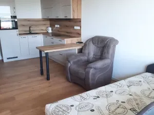 Pronájem bytu 1+kk, Olomouc, Aloise Rašína, 31 m2