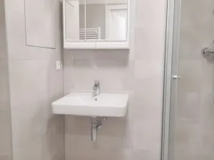 Pronájem bytu 1+kk, Olomouc, Aloise Rašína, 31 m2