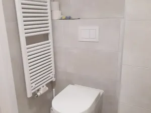 Pronájem bytu 1+kk, Olomouc, Aloise Rašína, 31 m2
