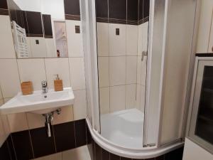 Pronájem bytu 3+1, Olomouc, Velkomoravská, 71 m2