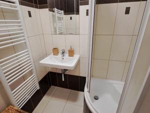 Pronájem bytu 3+1, Olomouc, Velkomoravská, 71 m2